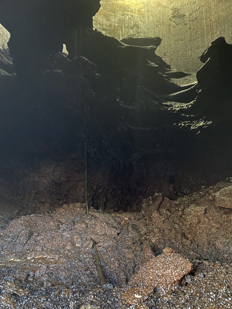 silo cleaning experts in east chicago